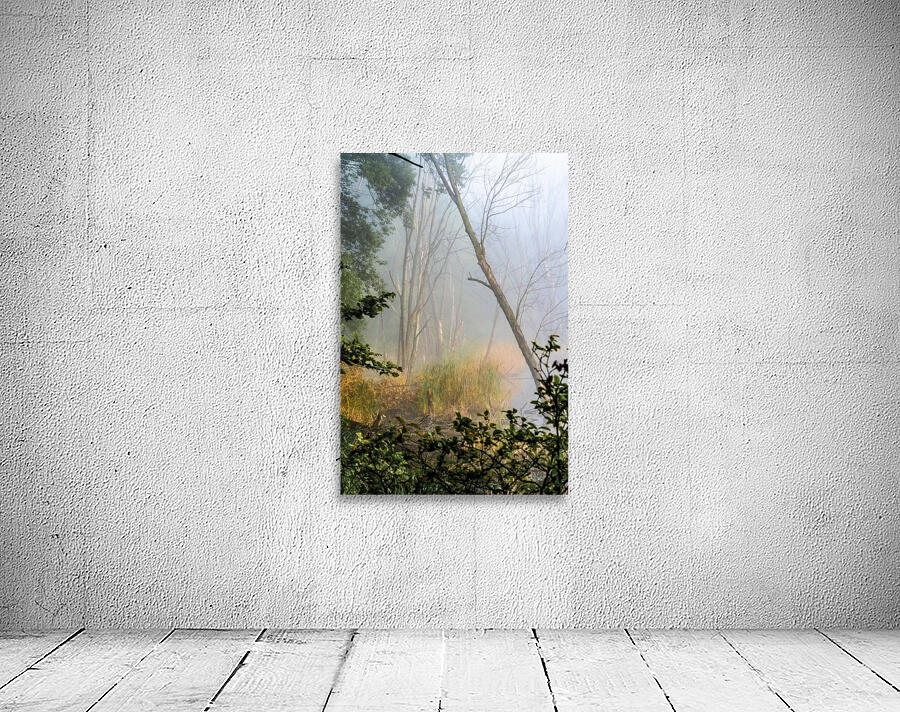 Tilting Timber Wall Preview