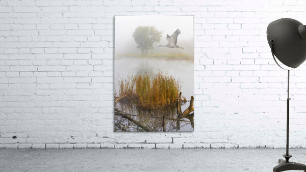 Crane on the Wing in Fog Wall Preview