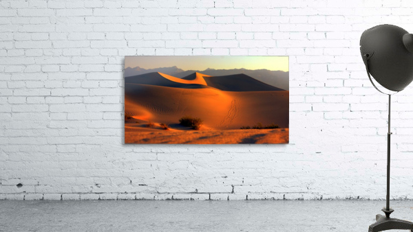 Mesquite Dunes at Dusk Wall Preview