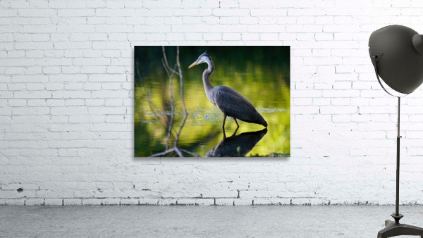 Heron on the Hunt Wall Preview