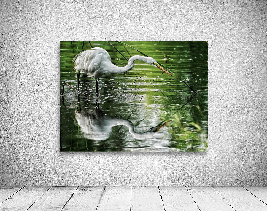 Feeding Egret Wall Preview