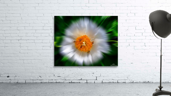 Flower pollinators Wall Preview