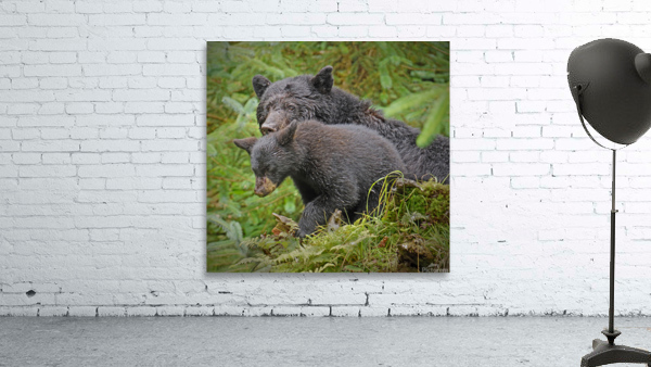 Mom and Cub Wall Preview