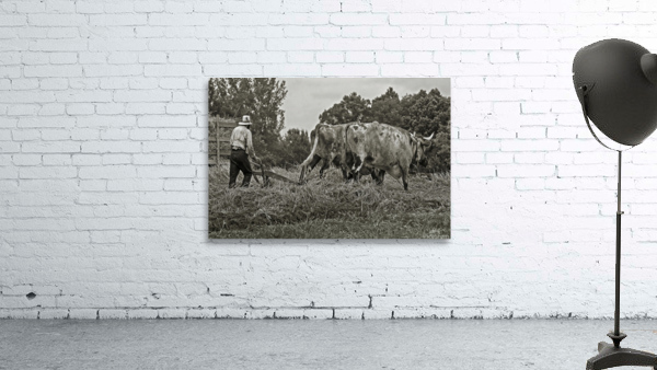 Farming with Oxen  Wall Preview