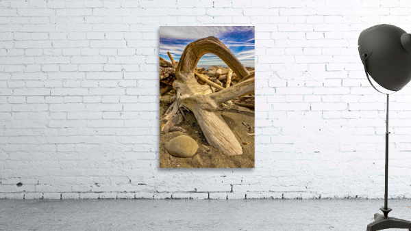Drift wood in Washington Wall Preview