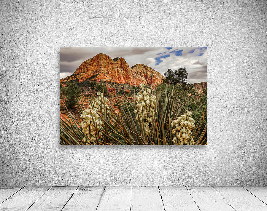 Flowers in Sedona Wall Preview