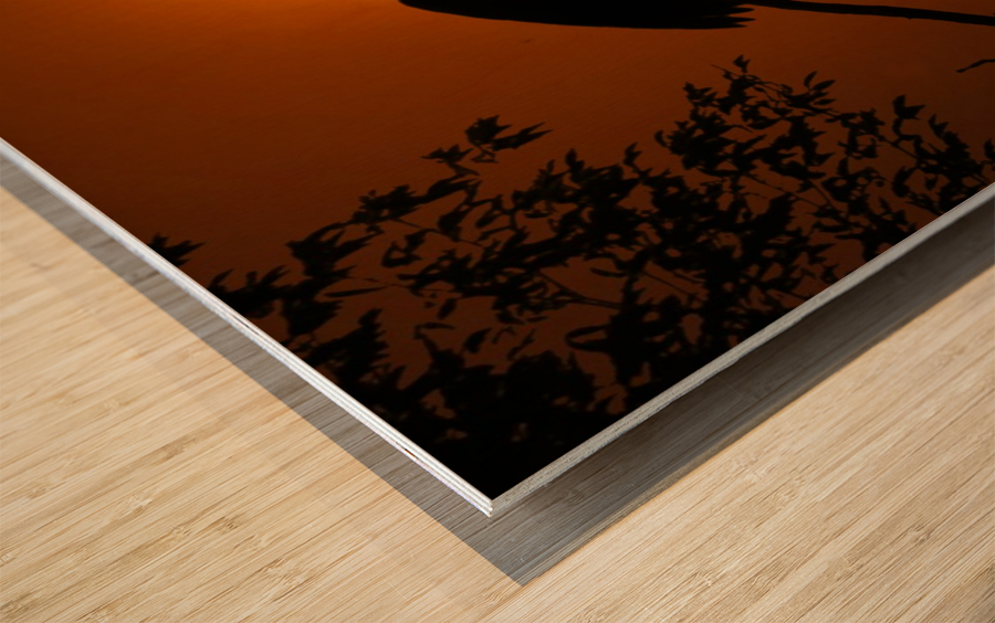 Egret Eclipse - 2017 Wood print