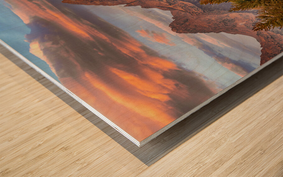 Moose in the Morning Impression sur bois