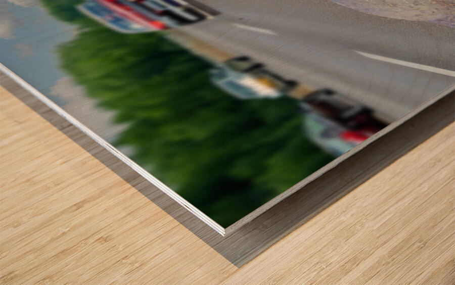 Tense Turtle  Wood print