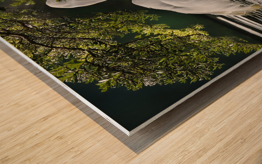 Just lunch  Impression sur bois