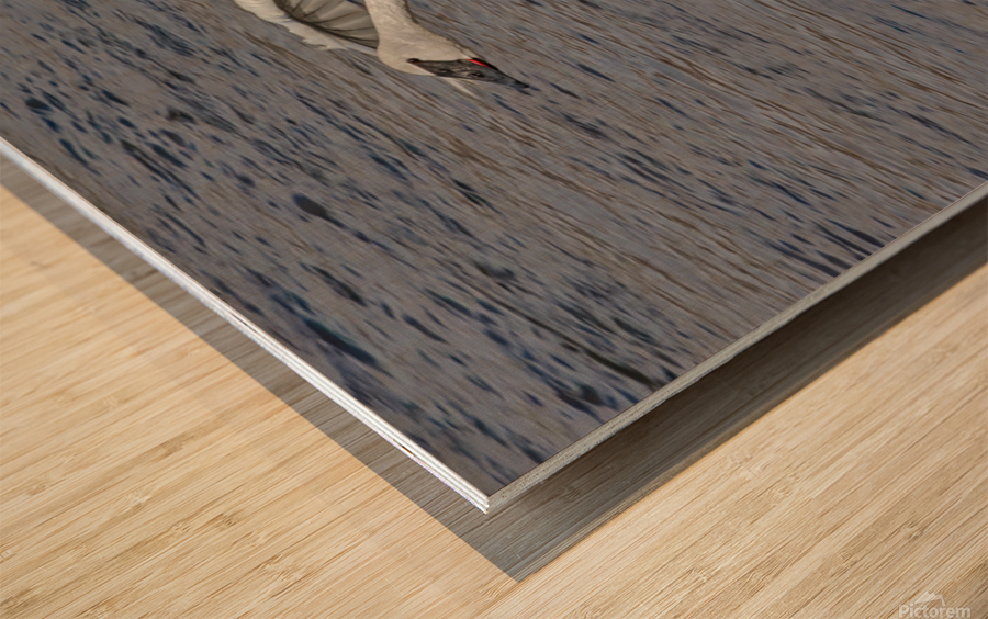 Three point landing   Wood print