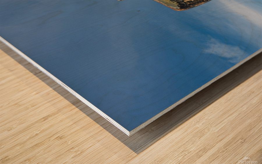 Osprey in flight Wood print