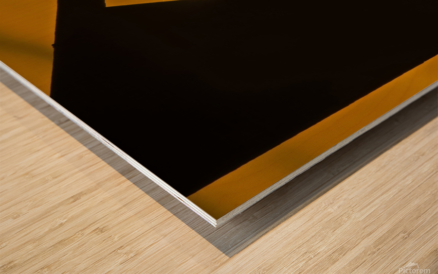 Tree Swallow Impression sur bois