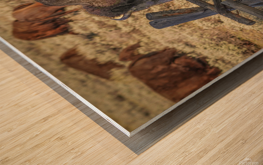 Bison leaping Impression sur bois