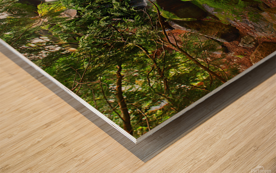  Arboretum Falls Wood print