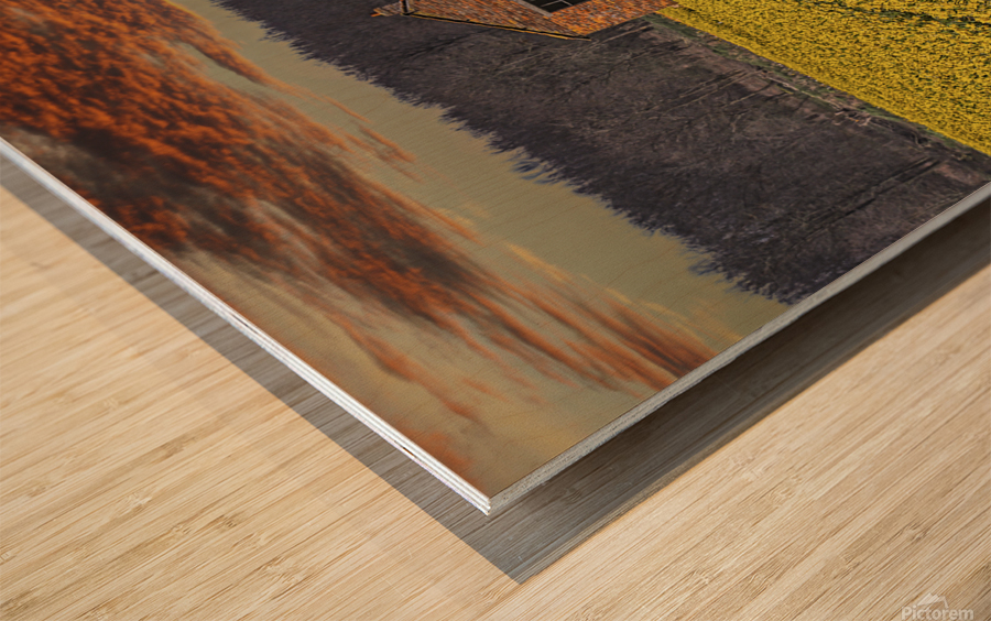 Flourishing fields of flowers Holland Wood print