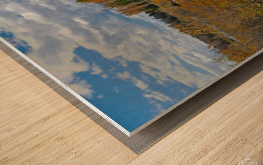 The Snake River near the Tetons Wood print