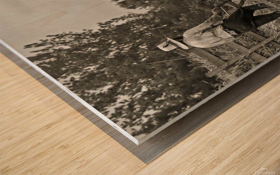 Farming with Oxen  Wood print