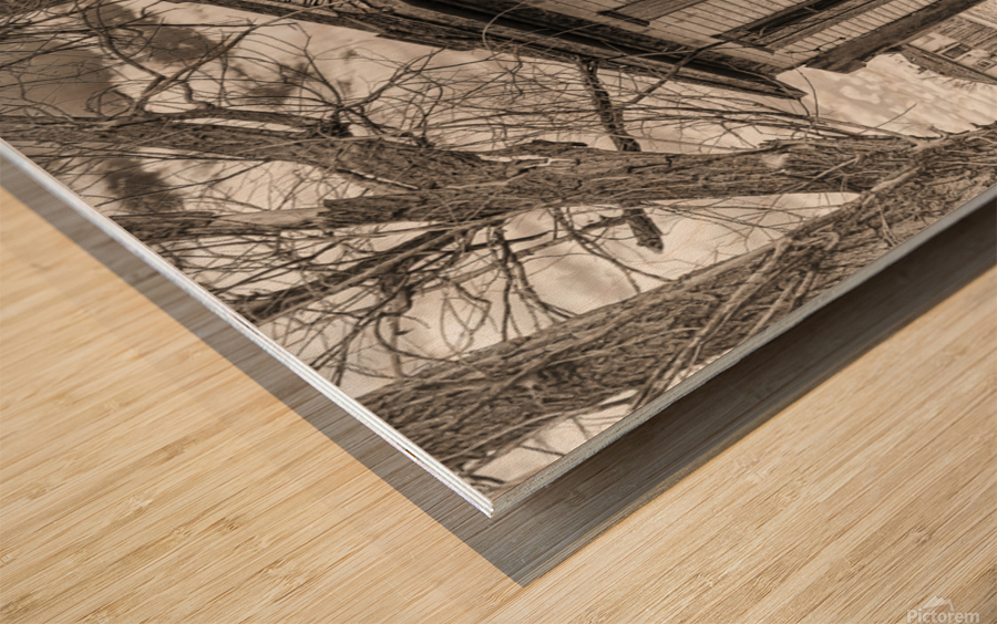 Farmhouse disrepair Wood print