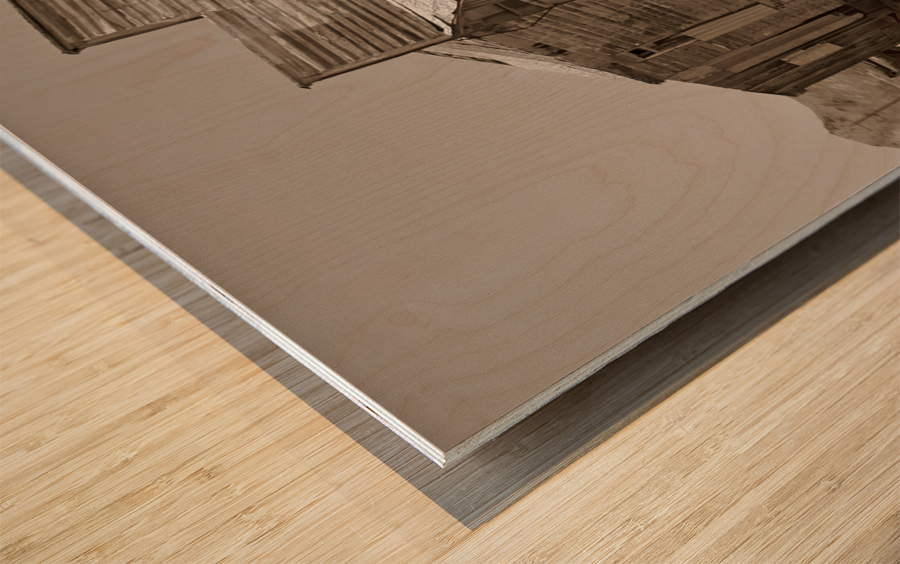  Rhyolite Nevada ghost store Impression sur bois