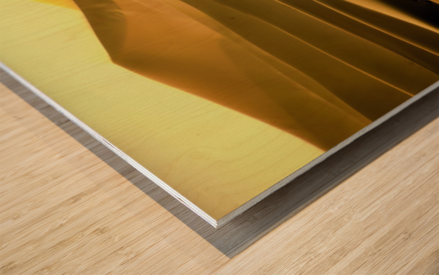 Mesquite Sand Dunes Impression sur bois