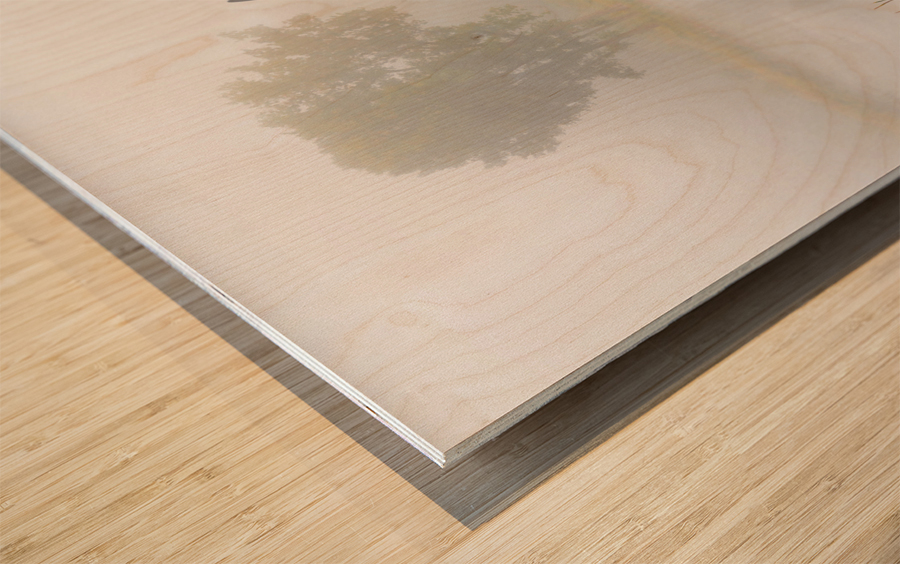 Crane over inland waters  Impression sur bois