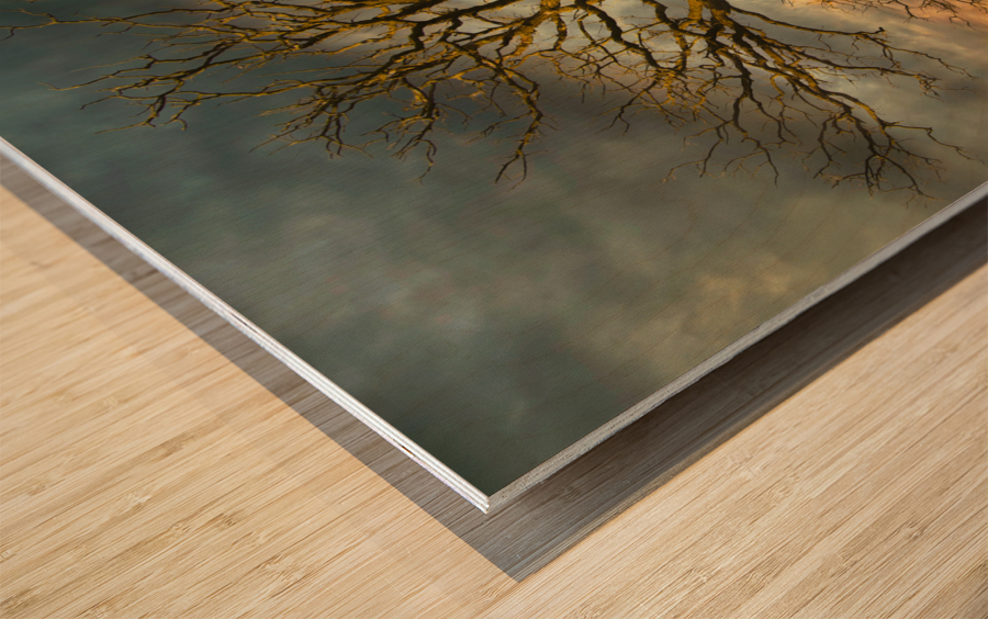 The eagle has landed Impression sur bois