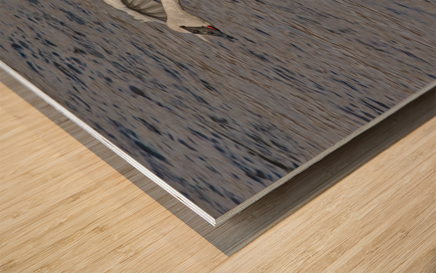 Three point landing  Wood print