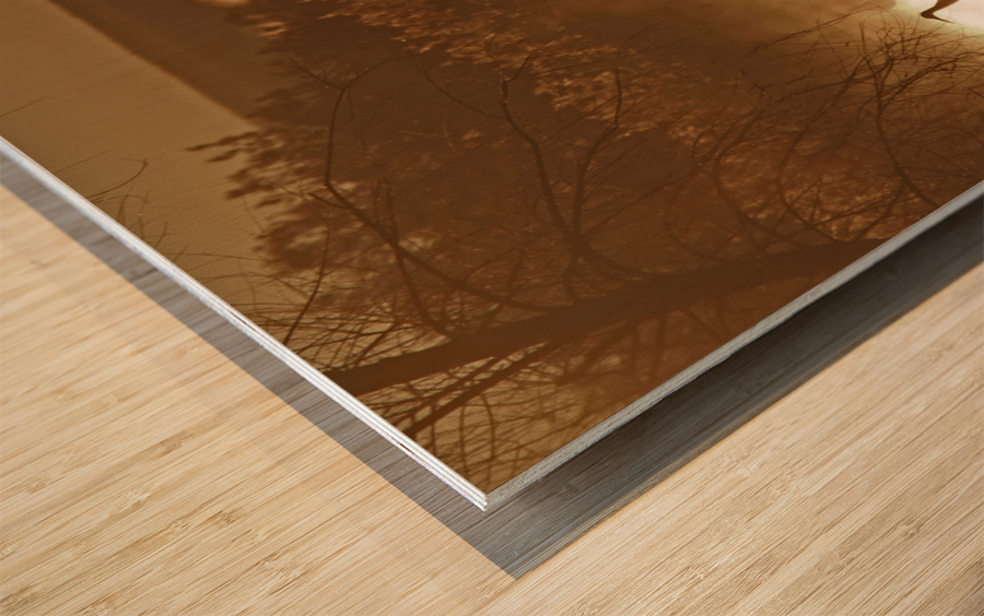 Sandhill crane migration Impression sur bois