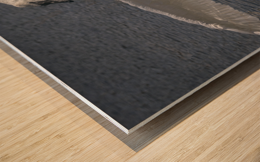 Comforting swan Wood print