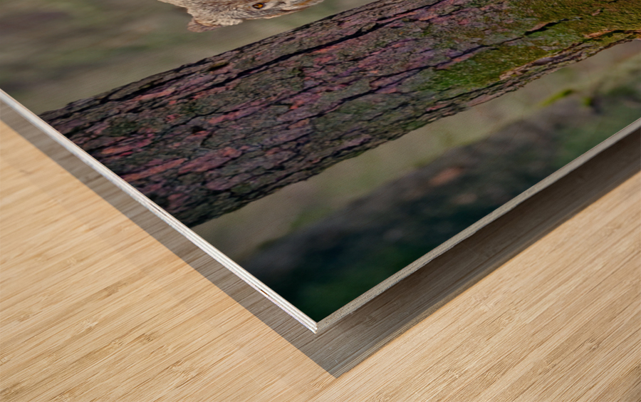 Call of the wild  Wood print