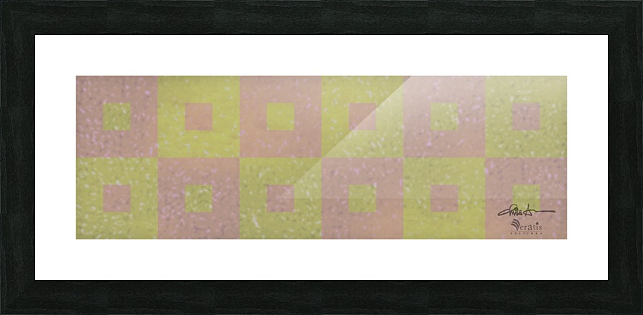 Range & Rank in Moss & Coral 3x1 Picture Frame print