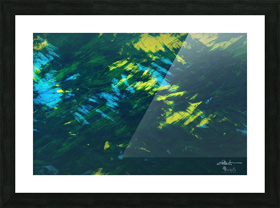 Brushed 48 Forest 3x2 Picture Frame print