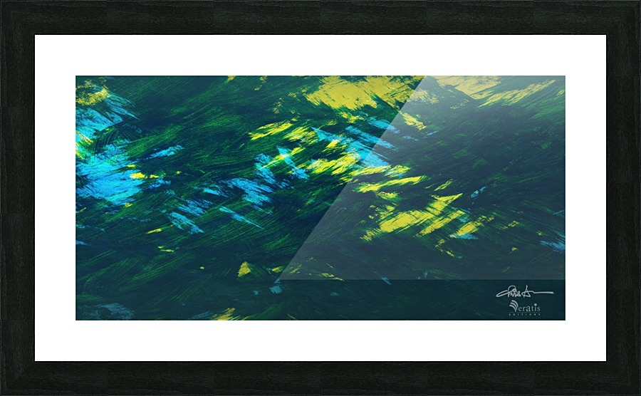 Brushed 48 Forest 2x1 Picture Frame print