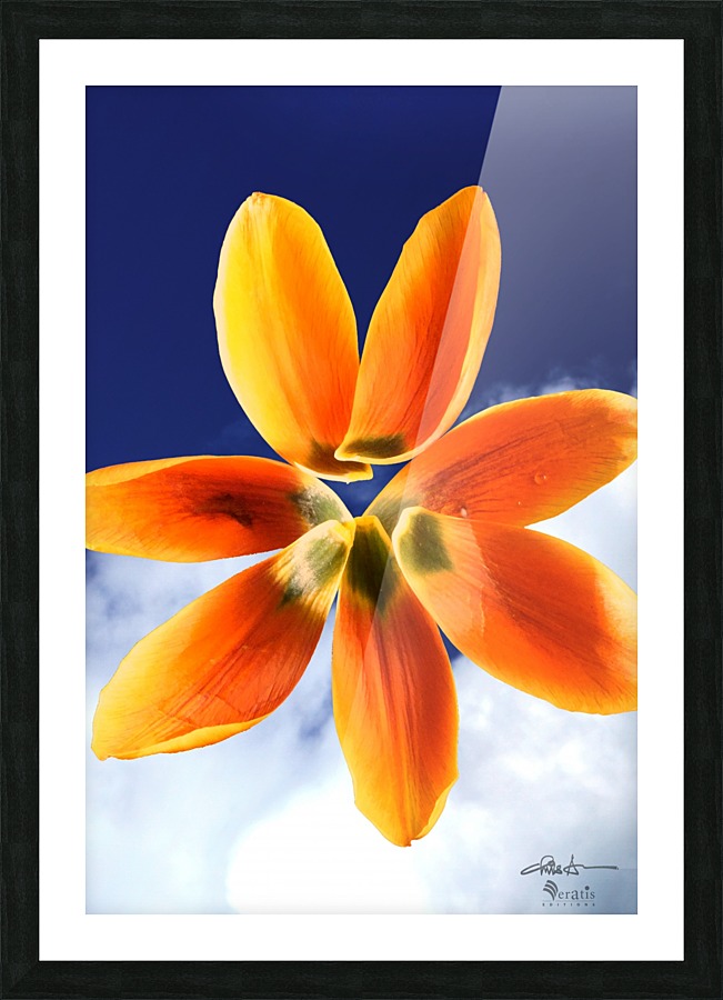 Sky Petals 2x3 Picture Frame print