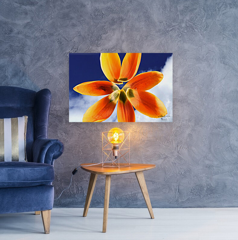 Sky Petals 3x2 Reproduction