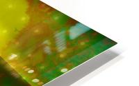 Form & Ether in Emerald 2x1 HD Metal print