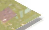 Range & Rank in Moss & Coral 3x1 HD Metal print