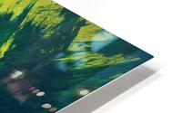 Brushed 48 Forest 2x3 HD Metal print