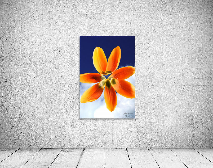Sky Petals 2x3 Wall Preview