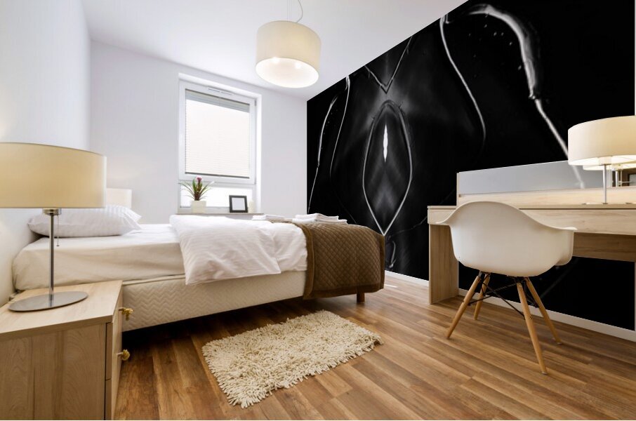 Shadow Work Mural print