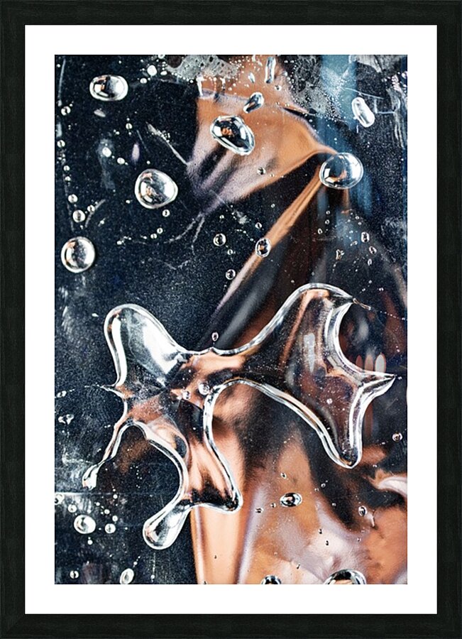 METAMORPHOSIS Picture Frame print