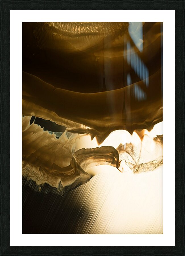 FLARE Picture Frame print