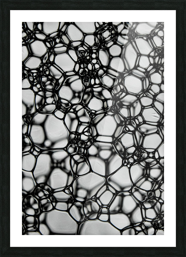 INTERLINKED Picture Frame print