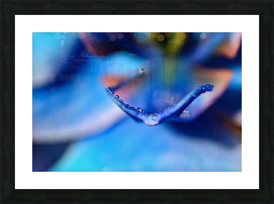 BLOOM Picture Frame print