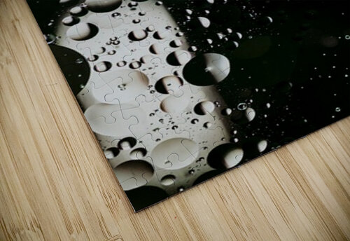 Clear and Present Jasmin Javon puzzle