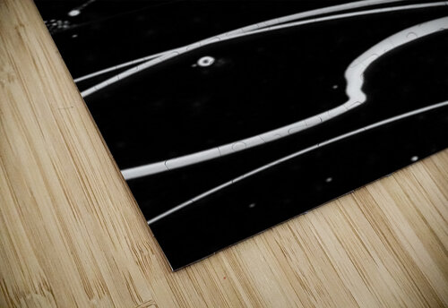 Premonition Jasmin Javon puzzle
