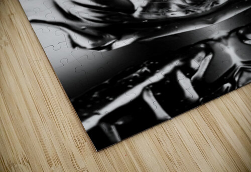 Bullet Proof Jasmin Javon puzzle