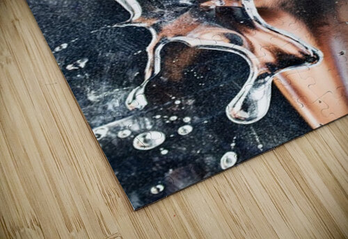 METAMORPHOSIS Jasmin Javon puzzle