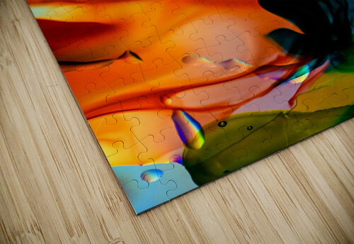 BENEVOLENCE Jasmin Javon puzzle